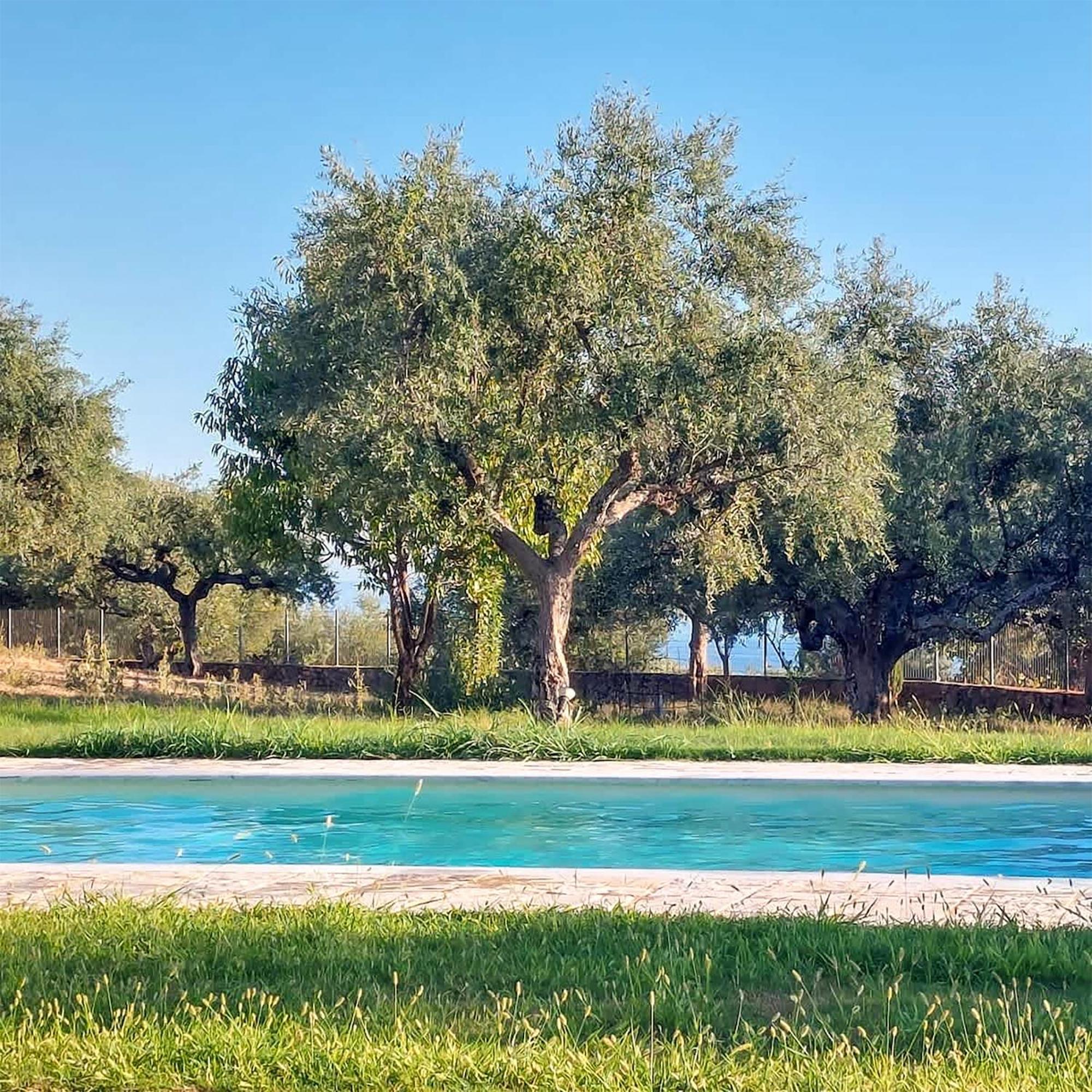 Villa Eleni - Private Pool Bliss Near Kardamili Proastion Bagian luar foto